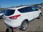 2014 Ford Escape Se Белый vin: 1FMCU9G95EUB23623