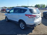 2014 Ford Escape Se Белый vin: 1FMCU9G95EUB23623