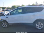 2014 Ford Escape Se Белый vin: 1FMCU9G95EUB23623