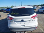 2014 Ford Escape Se Белый vin: 1FMCU9G95EUB23623