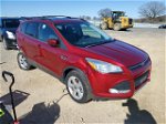 2014 Ford Escape Se Red vin: 1FMCU9G95EUC47715