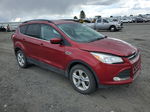 2016 Ford Escape Se Red vin: 1FMCU9G95GUC28665