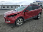 2016 Ford Escape Se Red vin: 1FMCU9G95GUC28665