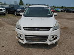 2013 Ford Escape Se White vin: 1FMCU9G96DUA12979