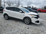 2013 Ford Escape Se White vin: 1FMCU9G96DUC15158