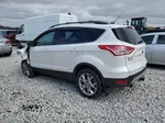 2013 Ford Escape Se White vin: 1FMCU9G96DUC15158