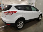 2014 Ford Escape Se White vin: 1FMCU9G96EUA14717