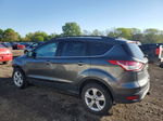 2016 Ford Escape Se Gray vin: 1FMCU9G96GUA82924