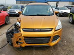 2016 Ford Escape Se Orange vin: 1FMCU9G96GUB94803