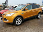 2016 Ford Escape Se Orange vin: 1FMCU9G96GUB94803