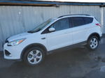 2016 Ford Escape Se White vin: 1FMCU9G96GUC66454