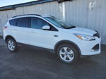 2016 Ford Escape Se White vin: 1FMCU9G96GUC66454