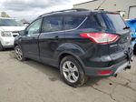 2013 Ford Escape Se Black vin: 1FMCU9G97DUB56220