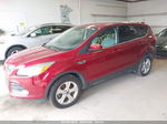 2014 Ford Escape Se Red vin: 1FMCU9G97EUC70168