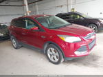 2014 Ford Escape Se Красный vin: 1FMCU9G97EUC70168