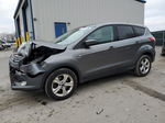 2014 Ford Escape Se Gray vin: 1FMCU9G97EUE22627