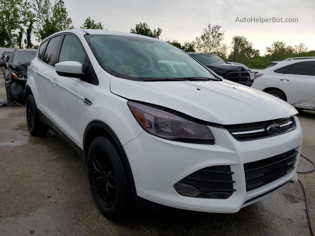 2015 Ford Escape Se White vin: 1FMCU9G97FUB38786