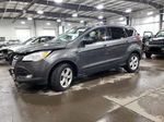 2016 Ford Escape Se Gray vin: 1FMCU9G97GUA40570