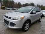 2014 Ford Escape Se Silver vin: 1FMCU9G98EUB68023