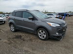 2014 Ford Escape Se Серый vin: 1FMCU9G98EUB80334