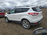 2014 Ford Escape Se White vin: 1FMCU9G98EUD04795