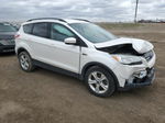 2014 Ford Escape Se White vin: 1FMCU9G98EUD04795