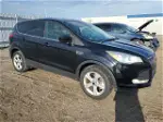 2016 Ford Escape Se Black vin: 1FMCU9G98GUC27445