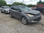 2013 Ford Escape Se Gray vin: 1FMCU9G99DUA05945