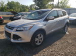 2014 Ford Escape Se Серебряный vin: 1FMCU9G99EUA11889