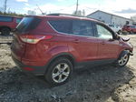 2014 Ford Escape Se Красный vin: 1FMCU9G99EUB52428