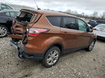 2017 Ford Escape Se Коричневый vin: 1FMCU9G99HUB04917