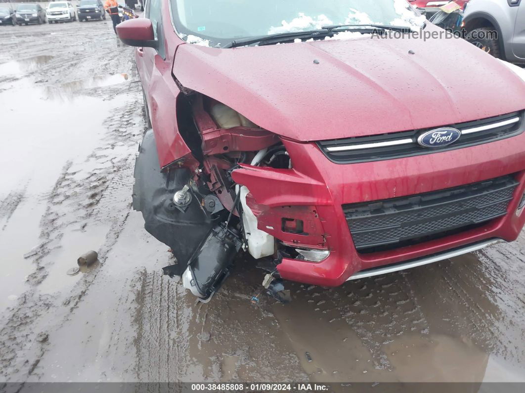 2013 Ford Escape Se Red vin: 1FMCU9G9XDUD16249