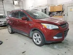 2014 Ford Escape Se Red vin: 1FMCU9G9XEUC21286