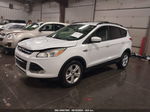 2014 Ford Escape Se Белый vin: 1FMCU9G9XEUD19153