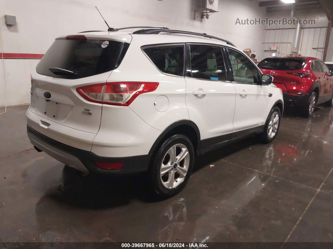 2014 Ford Escape Se Белый vin: 1FMCU9G9XEUD19153