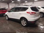 2014 Ford Escape Se Белый vin: 1FMCU9G9XEUD19153