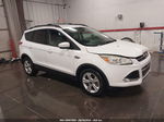 2014 Ford Escape Se Белый vin: 1FMCU9G9XEUD19153