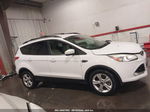 2014 Ford Escape Se Белый vin: 1FMCU9G9XEUD19153