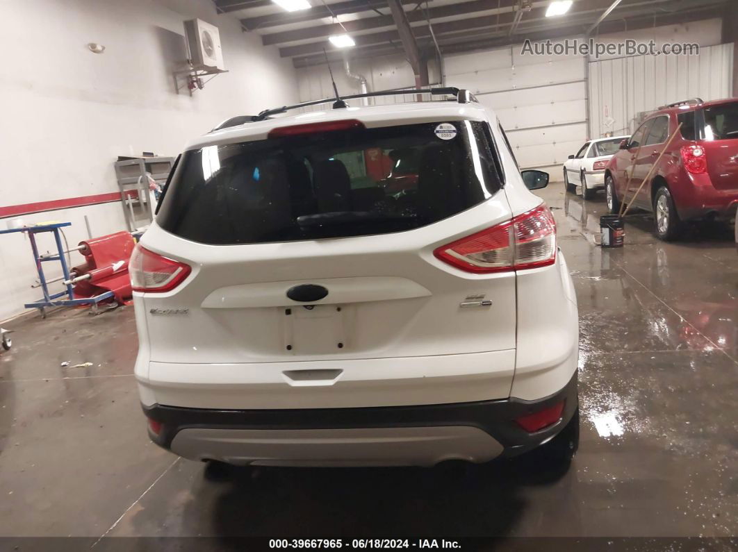 2014 Ford Escape Se Белый vin: 1FMCU9G9XEUD19153