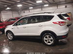 2014 Ford Escape Se White vin: 1FMCU9G9XEUD19153