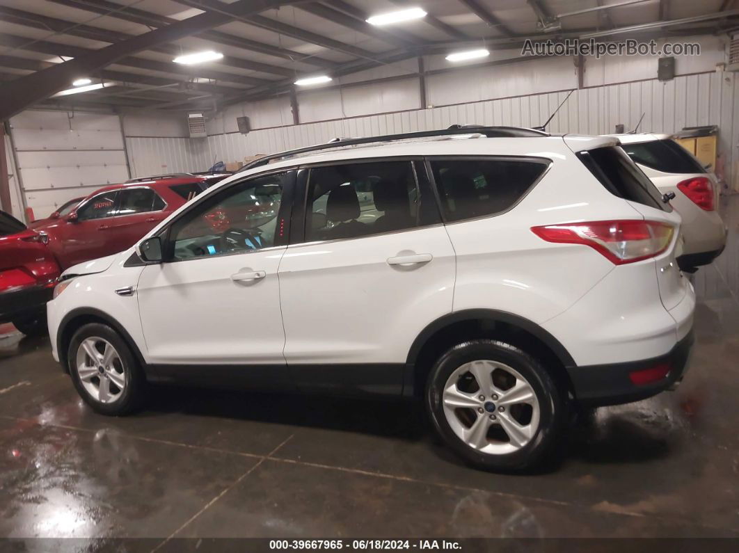 2014 Ford Escape Se White vin: 1FMCU9G9XEUD19153