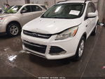 2014 Ford Escape Se White vin: 1FMCU9G9XEUD19153