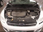 2014 Ford Escape Se Белый vin: 1FMCU9G9XEUD19153