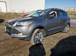 2014 Ford Escape Se Gray vin: 1FMCU9G9XEUE56710