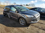 2014 Ford Escape Se Gray vin: 1FMCU9G9XEUE56710