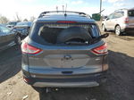 2014 Ford Escape Se Gray vin: 1FMCU9G9XEUE56710