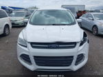 2015 Ford Escape Se White vin: 1FMCU9G9XFUA11028