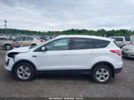 2015 Ford Escape Se White vin: 1FMCU9G9XFUA11028