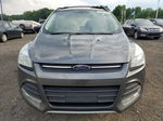 2015 Ford Escape Se Gray vin: 1FMCU9G9XFUB46784