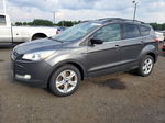 2015 Ford Escape Se Gray vin: 1FMCU9G9XFUB46784